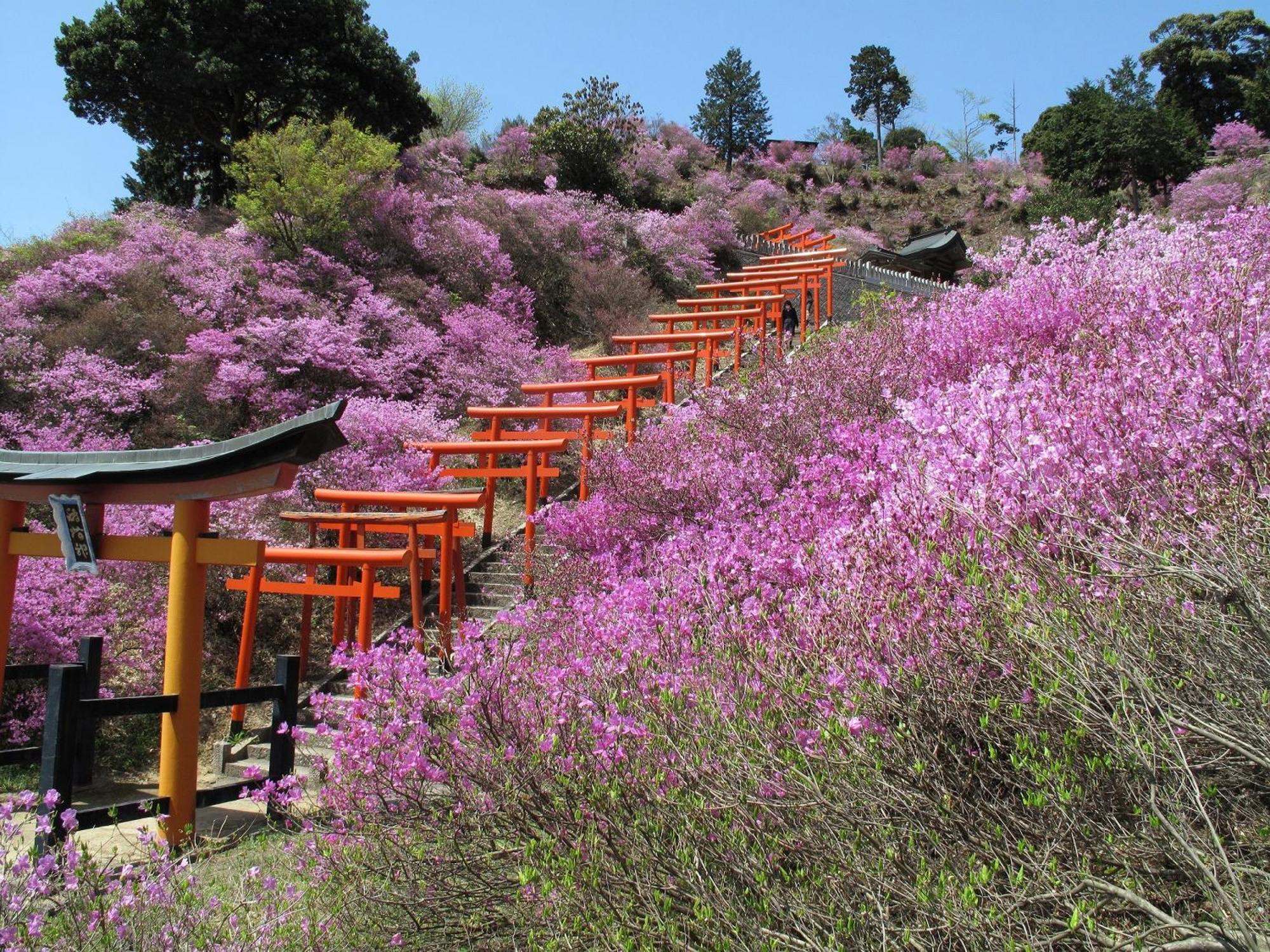 Mercure Kyoto Miyazu Resort & Spa Екстериор снимка
